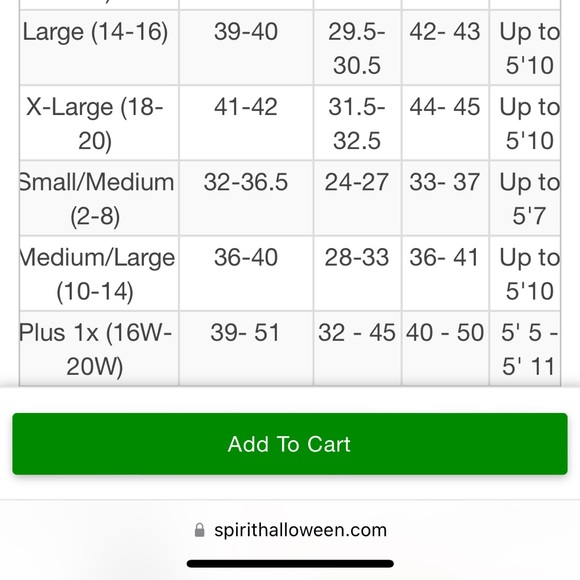 Worn Once Peace & Love Hippie Costume Spirit Halloween - Picture 14 of 16